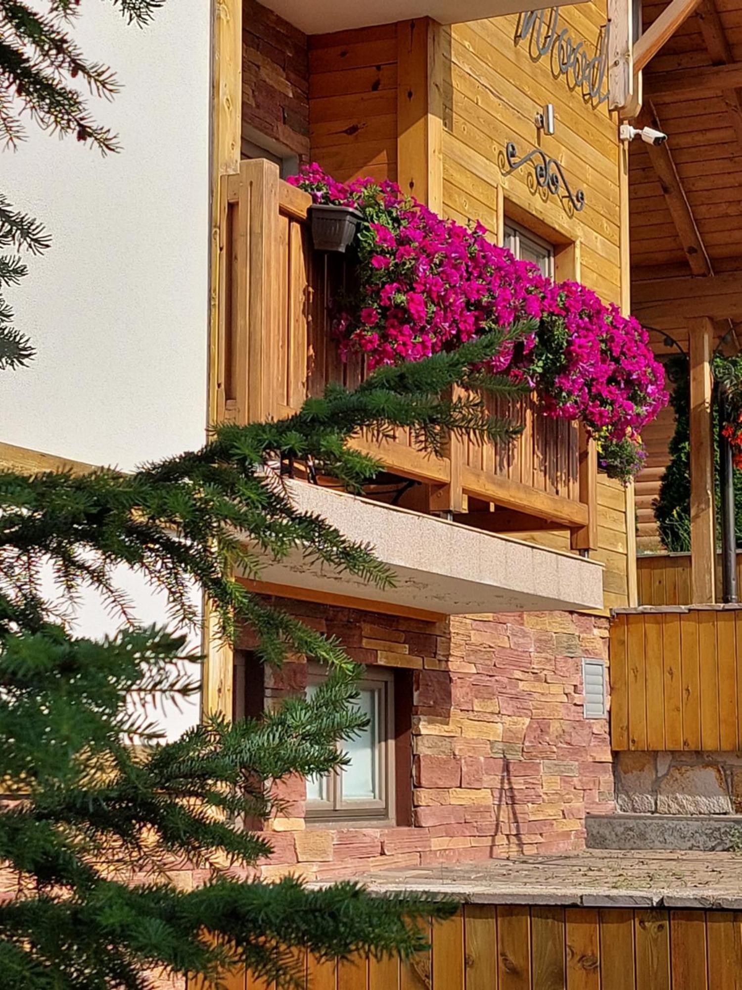 Villa Natural Wood Zlatibor Exterior foto